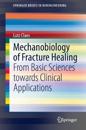 Mechanobiology of Fracture Healing
