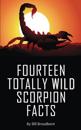 Fourteen Totally Wild Scorpion Facts