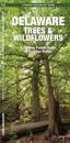 Delaware Trees & Wildflowers