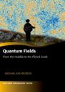 Quantum Fields -- From the Hubble to the Planck Scale