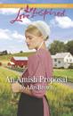 Amish Proposal