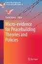 Micro-Evidence for Peacebuilding Theories and Policies
