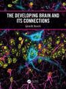 The Developing Brain and its Connections