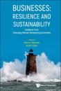 Businesses: Resilience And Sustainability - Evidence From Emerging Market Developing Economies