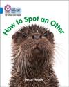 Collins Big Cat Phonics for Letters and Sounds - How to Spot an Otter: Band 04/Blue