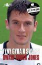 Cyfres Stori Sydyn: Fyny Gyda''r Swans