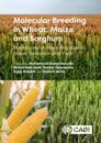 Molecular Breeding in Wheat, Maize and Sorghum : Strategies for Improving Abiotic Stress Tolerance and Yield