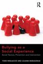 Bullying as a Social Experience