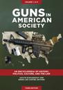 Guns in American Society
