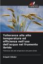Tolleranza alle alte temperature ed efficienza nell'uso dell'acqua nel frumento ibrido