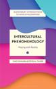 Intercultural Phenomenology