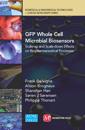 GFP Whole Cell Microbial Biosensors: Scale-up and scale-down effects on biopharmaceutical processes