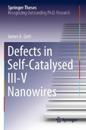 Defects in Self-Catalysed III-V Nanowires