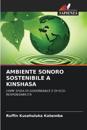 Ambiente Sonoro Sostenibile a Kinshasa