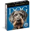 Dog Page-A-Day Gallery Calendar 2024