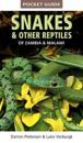 Pocket Guide to Snakes & Other Reptiles of Zambia and Malawi