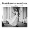Elegant Dresses in Monochrome