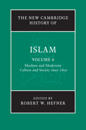 The New Cambridge History of Islam: Volume 6, Muslims and Modernity: Culture and Society since 1800