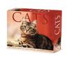 Cats 2024 6.2 X 5.4 Box Calendar