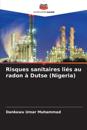 Risques sanitaires liés au radon à Dutse (Nigeria)