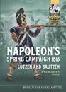 Napoleon's Spring Campaign 1813, Lutzen and Bautzen