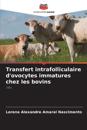Transfert intrafolliculaire d'ovocytes immatures chez les bovins