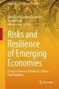 Risks and Resilience of Emerging Economies