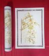 Wylde Green 1885 - Old Map Supplied Rolled in a Clear Two Part Screw Presentation Tube - Print Size 45cm x 32cm