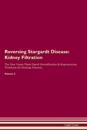 Reversing Stargardt Disease