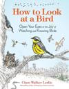 How to Look at a Bird