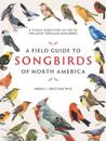 A Field Guide to Songbirds of North America