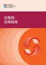 Process Groups (Simplified Chinese Edition)