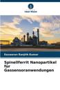 Spinellferrit Nanopartikel für Gassensoranwendungen