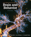 Introduction to Brain and Behavior (International Edition)