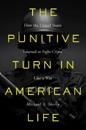 The Punitive Turn in American Life