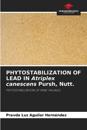 PHYTOSTABILIZATION OF LEAD IN Atriplex canescens Pursh, Nutt.