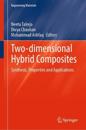 Two-dimensional Hybrid Composites