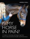 Is My Horse in Pain?