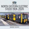 North Eastern Electric Stock 1904-2020