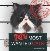 FBI's Most Wanted Cats