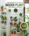 The Essential Guide to Indoor Plants: Tips and Techniques to Make Your Indoor Garden Flourish