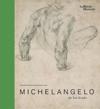 Michelangelo: the last decades