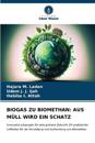 Biogas Zu Biomethan