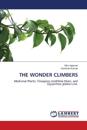 The Wonder Climbers