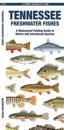 Tennessee Freshwater Fishes