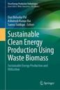 Sustainable Clean Energy Production Using Waste Biomass