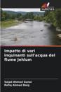 Impatto di vari inquinanti sull'acqua del fiume Jehlum