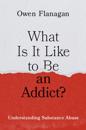 What Is It Like to Be an Addict?