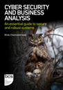 Cyber Security and Business Analysis