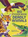 Big Sticker Book of Deadly Animals